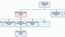 Org chart