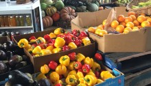 Fresh produce